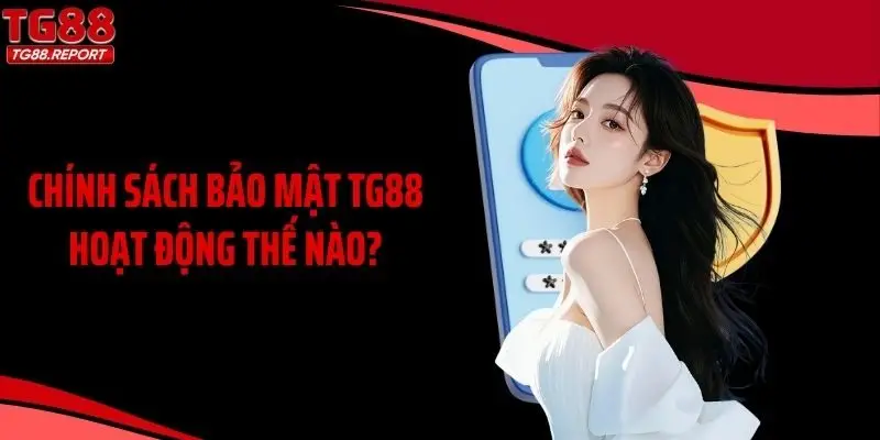 Chính sách bảo mật TG88 hoạt động thế nào?